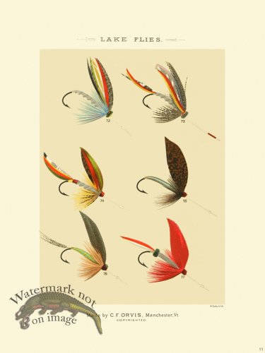 (image for) Favorite Flies 11 Lake