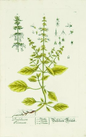 Blackwell German 051