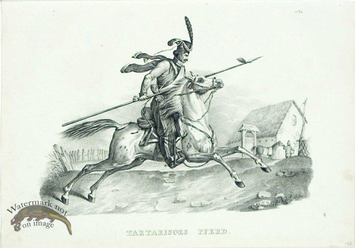 (image for) Tartarisches Horse