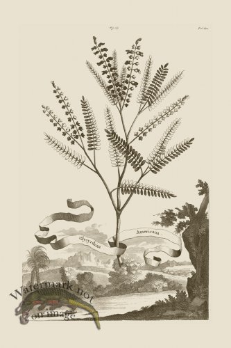 (image for) Abraham Munting 169