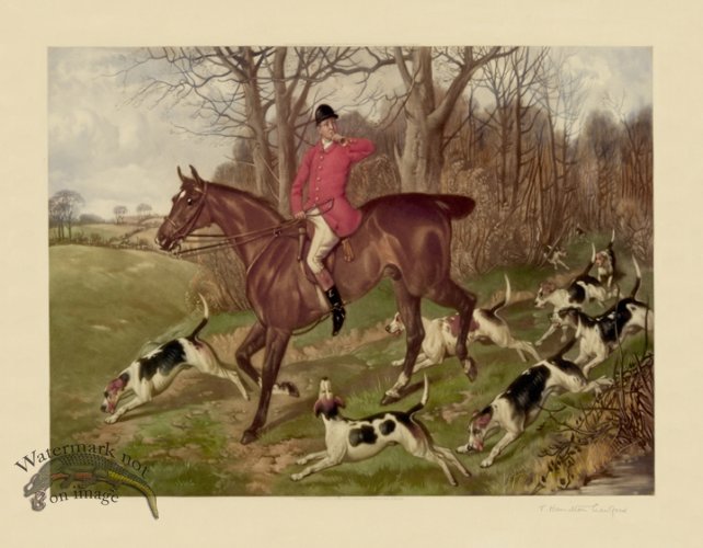(image for) Hunting with Hounds