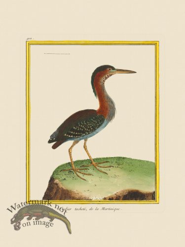 (image for) Martinet Bird 912