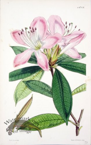 (image for) CBMS_0076