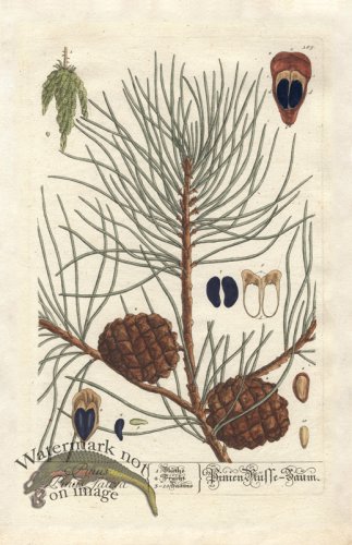 (image for) Blackwell GE 189