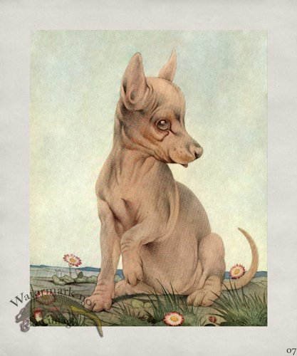 (image for) Puppy Dog 07