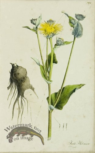 (image for) 1828_Gmp 010