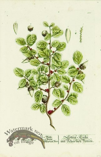 (image for) Blackwell German 112