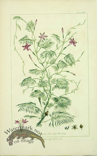 (image for) Philip Miller 018