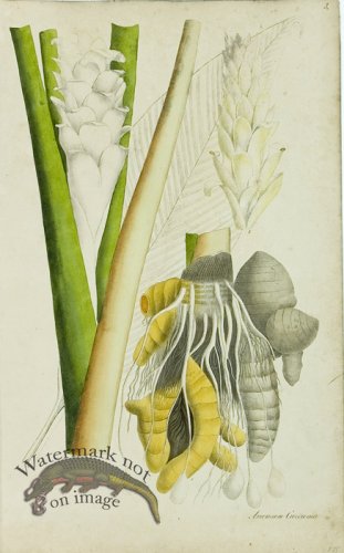 (image for) 1828_Gmp 030