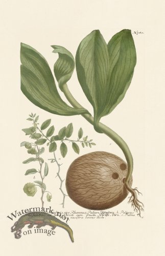 (image for) Weinmann PL 780