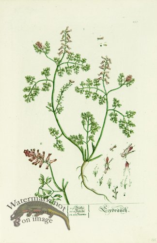 (image for) Blackwell German 263