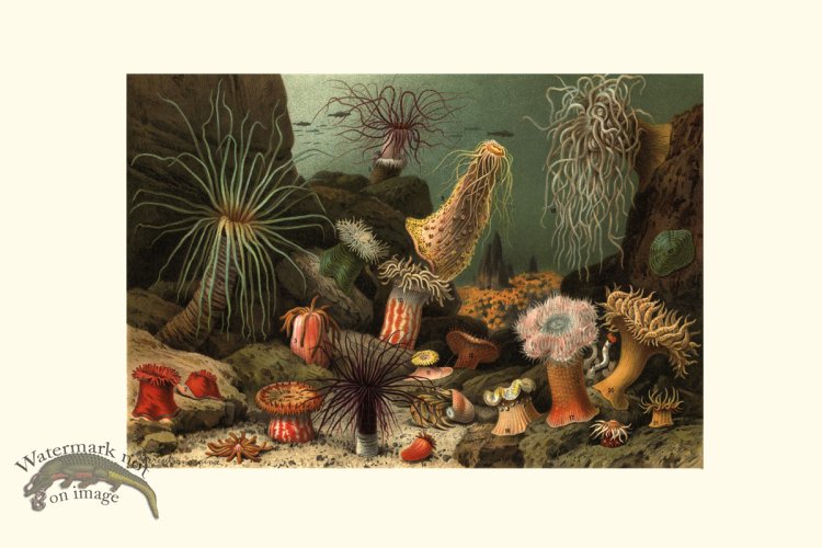 (image for) Underwater 30