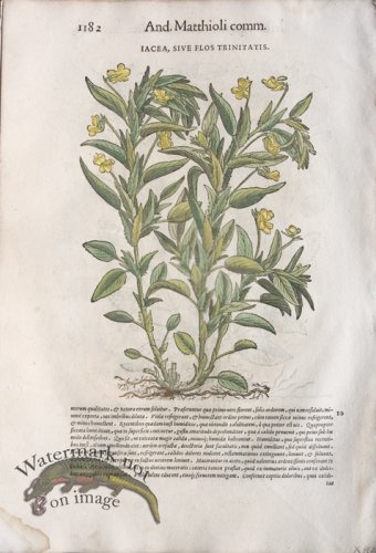 (image for) WB Botanicals 44