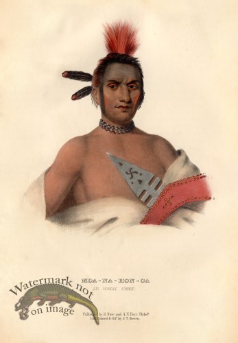 (image for) Moa-Na-Hon-Ga