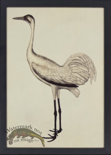 (image for) Tribute BFs 08