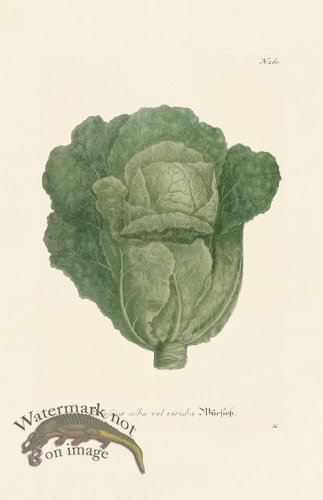 (image for) Weinmann PL 260