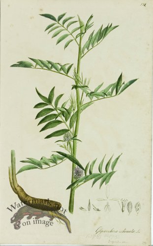 (image for) 1828_Gmp 063