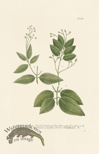 (image for) Weinmann PL 386