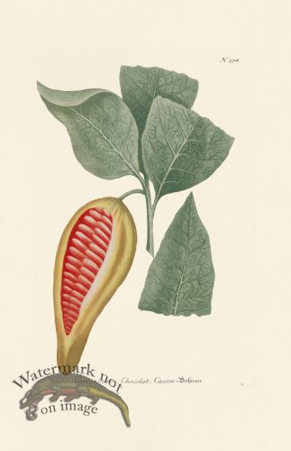 (image for) Weinmann PL 278