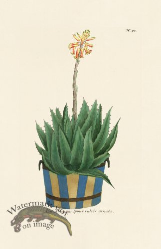 (image for) Weinmann PL 071