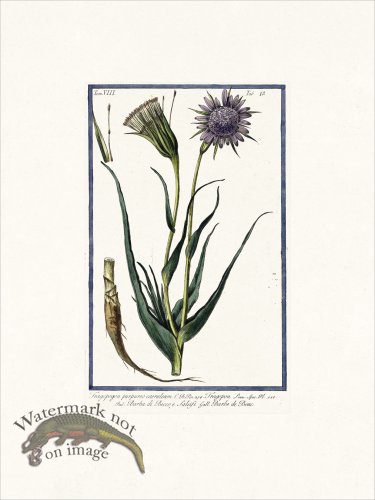 (image for) Bonelli V8 010