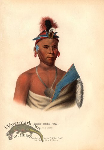 (image for) kee-shes-wa