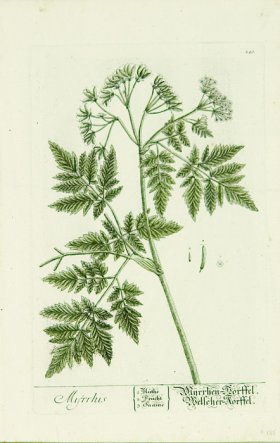 Blackwell German 083