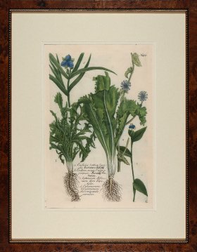 Weinmann Burl with Gold DM 10