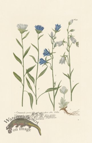 (image for) Weinmann PL 291