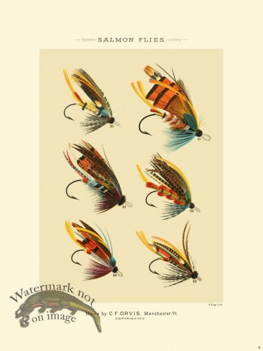 (image for) Favorite Flies 04 Salmon