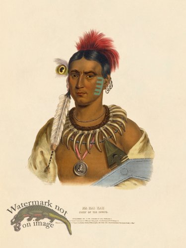 (image for) Ma has kah Ioways