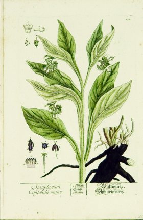 Blackwell German 128