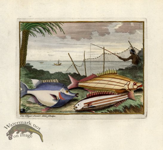 (image for) Valentijn 09