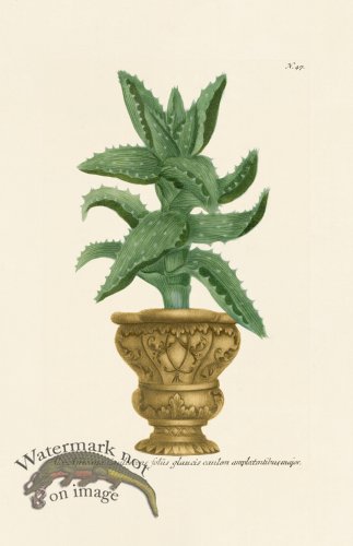 (image for) Weinmann PL 047