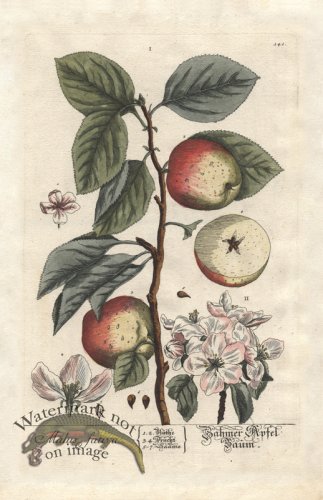 (image for) Blackwell GE 141