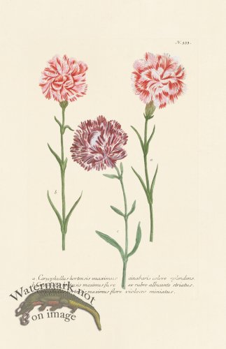 (image for) Weinmann PL 333