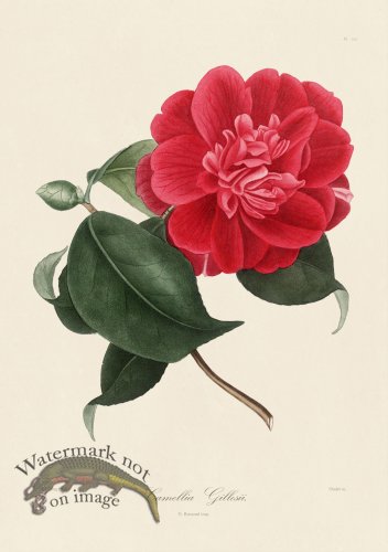 A generic image