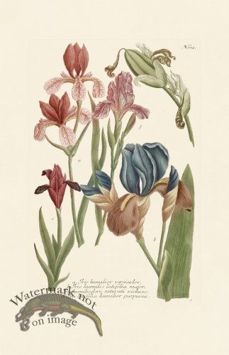 (image for) Weinmann PL 612