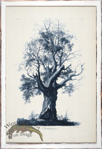 (image for) Blue Trees in Distressed White 06