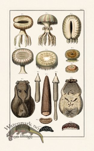 (image for) Seba B2 001