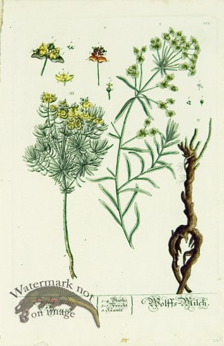 (image for) Blackwell German 227