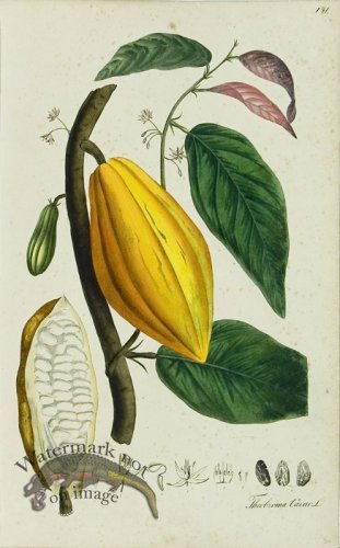 (image for) 1828_Gmp 031