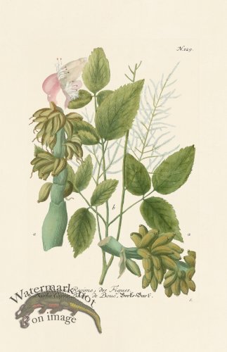 (image for) Weinmann PL 229