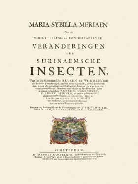 Merian Metamorphosis 74