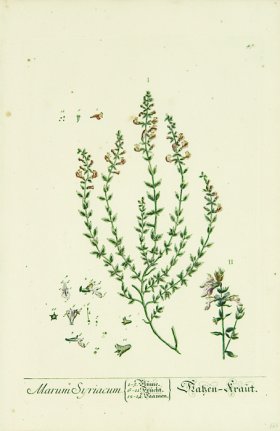 Blackwell German 254