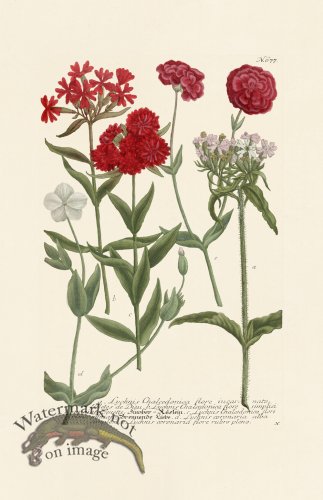 (image for) Weinmann PL 677