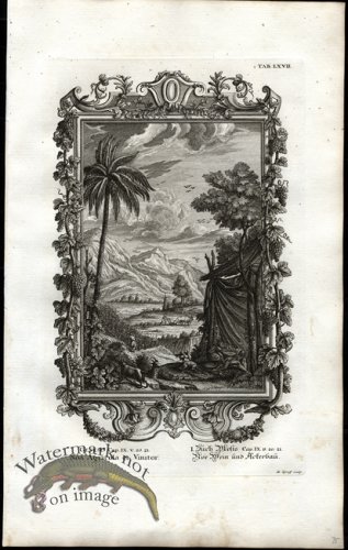 (image for) Scheuchzer 02