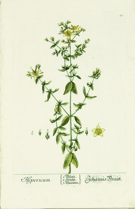 Blackwell German 104