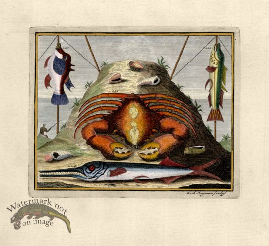 (image for) Valentijn 16