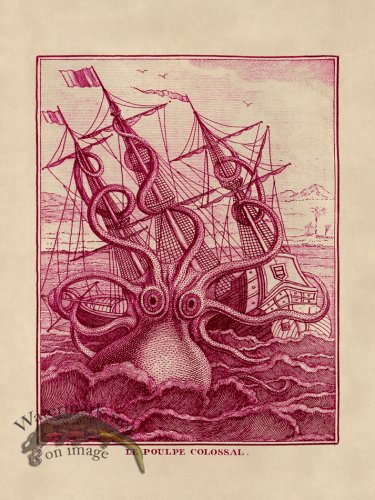 (image for) Octopus Pink 30